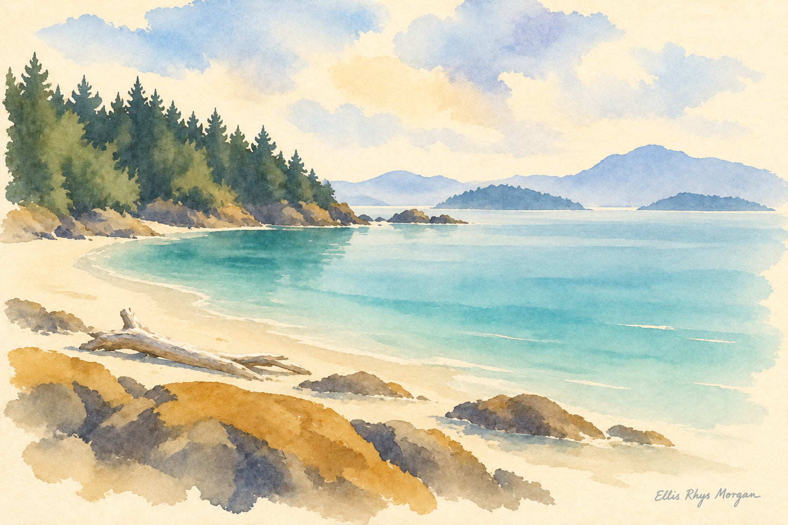 Beach by Ellie Morgan