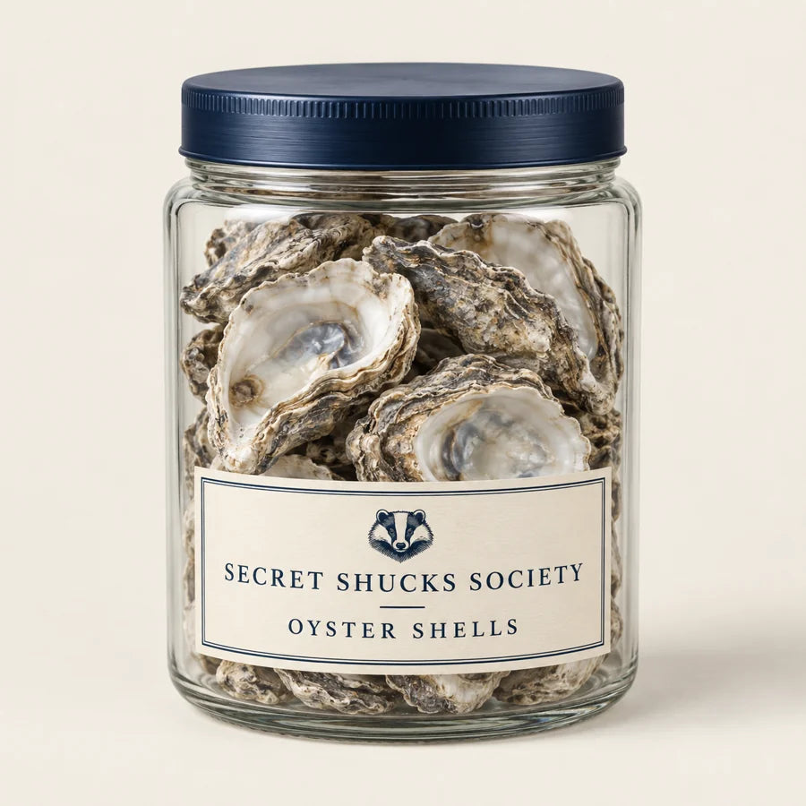 The oyster shell jar